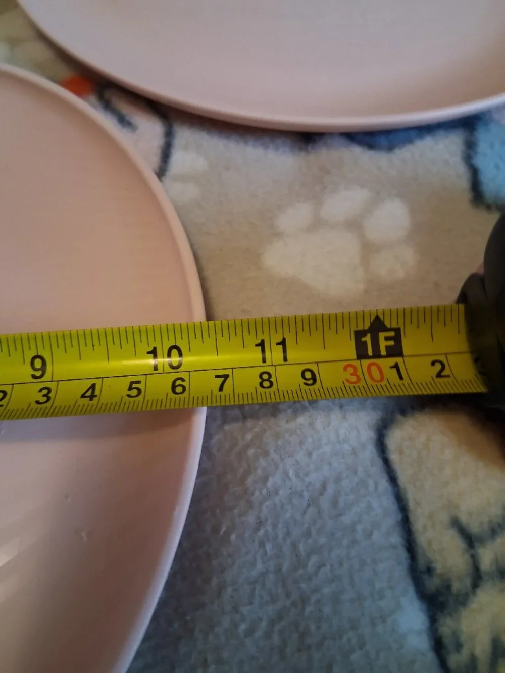 SET OF 3 PINK LARGE VINTAGE PLASTIC CAMPING PLATES FROM 1950S
